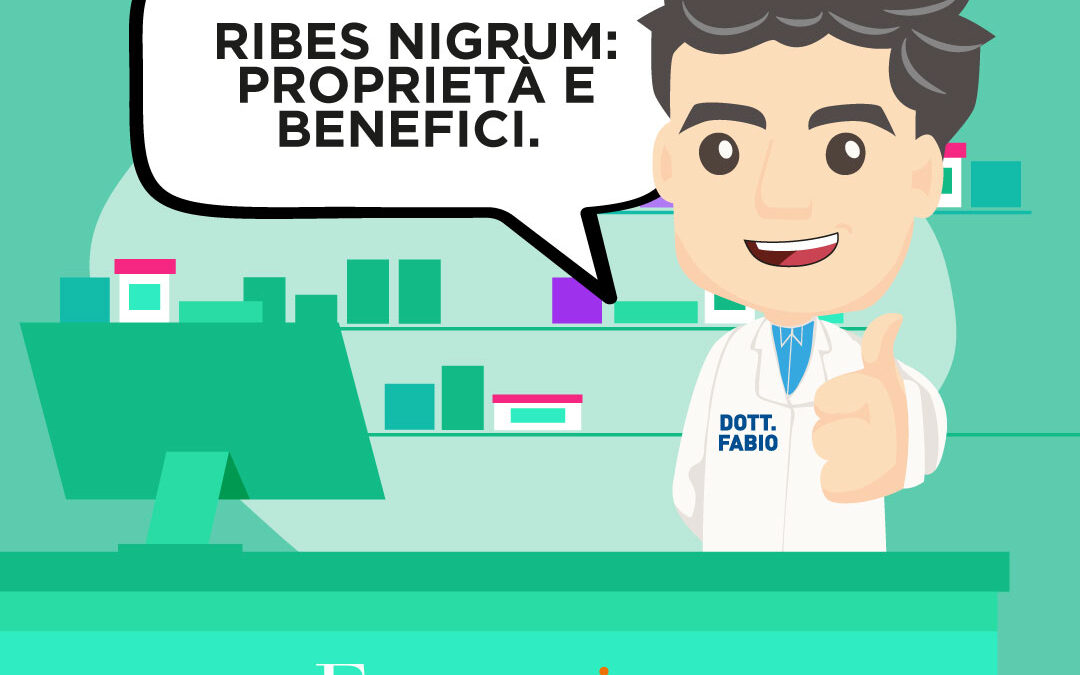 RIBES NIGRUM: proprietà e benefici.